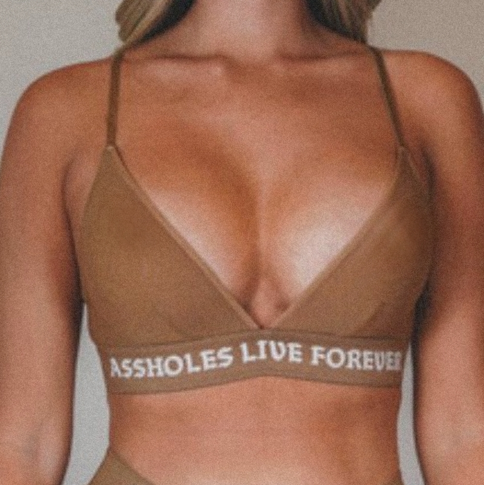 Mesh Triangle bralette